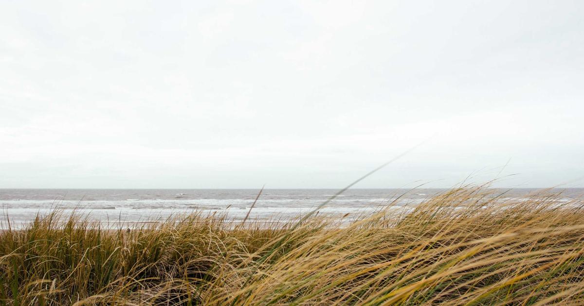 AI-Powered Dark Web Monitoring: Protect Your Data - Cybersecurity