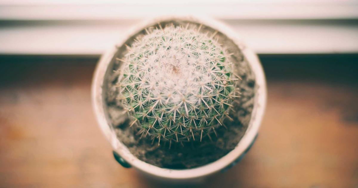 AI-Driven Persona Mapping: Hyper-Personalize SEO in 2026 - Digital Marketing & SEO