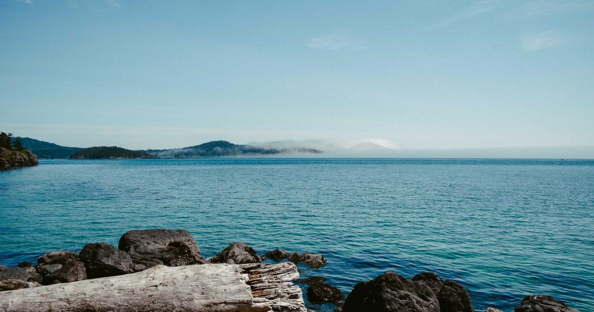 Elevating Remote Workflows with AI-Driven Tools - Remote Work & Productivity