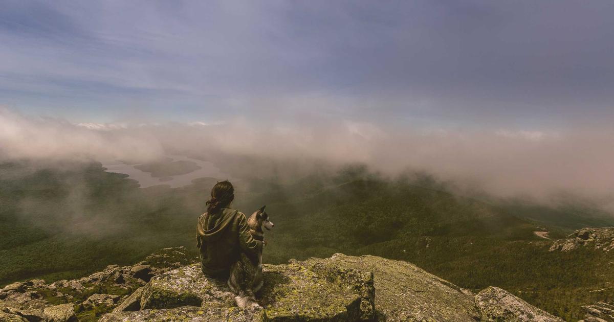 Beyond Text: AI Image Generators for Content Creators - AI Tools & Reviews