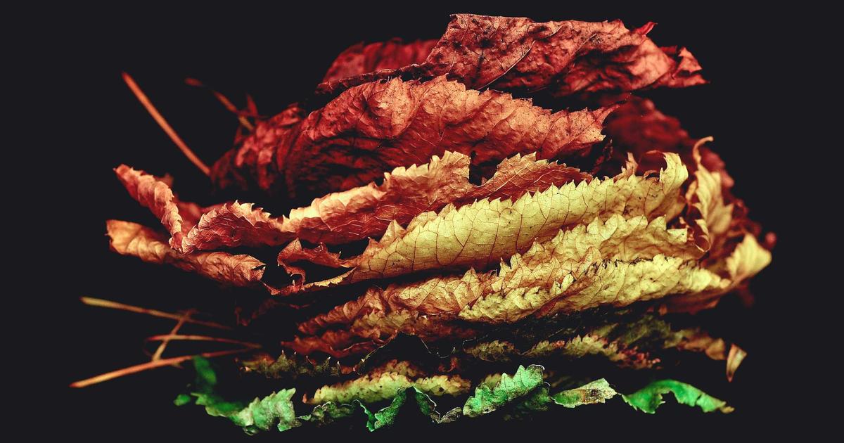 AI-Powered Paraphrasing Tools: The Ultimate 2026 Review - AI Tools & Reviews