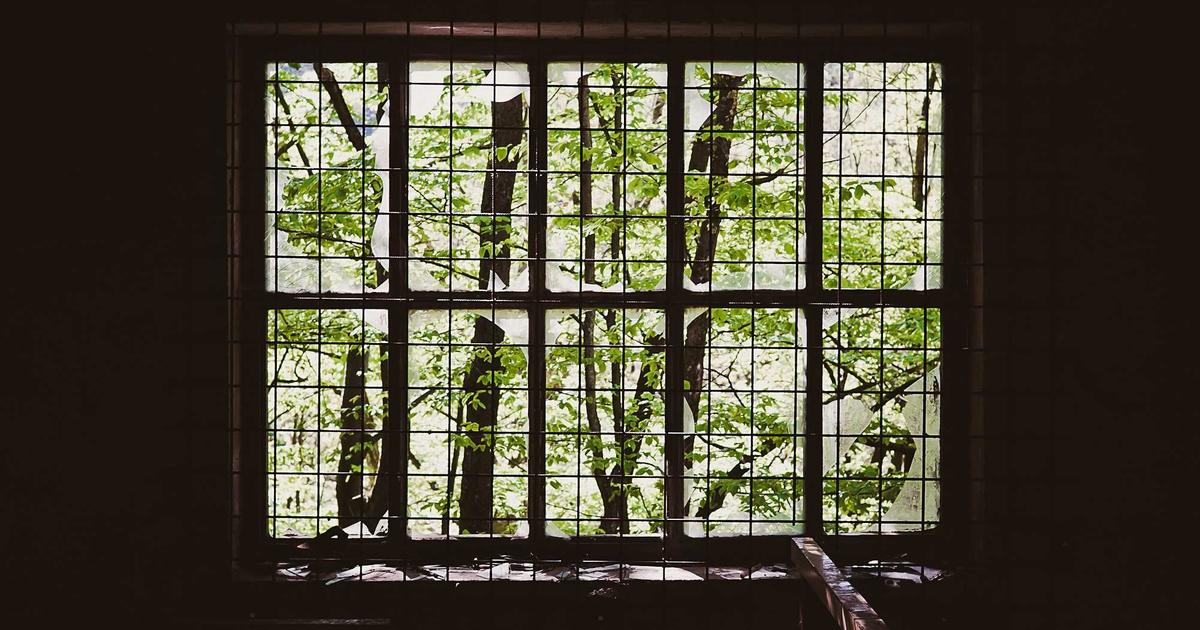 AI-Powered Honeypots: Automating Threat Detection - Cybersecurity