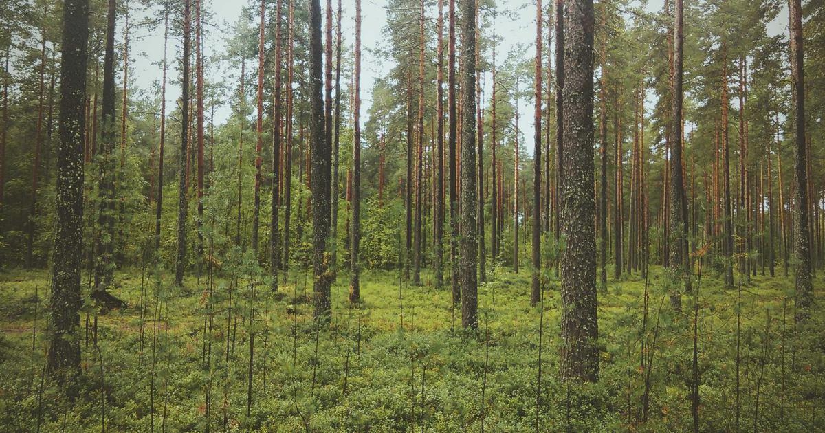 AI-Powered Robo-Advisors: Beyond Basic Investing 2026 - Finance & Fintech