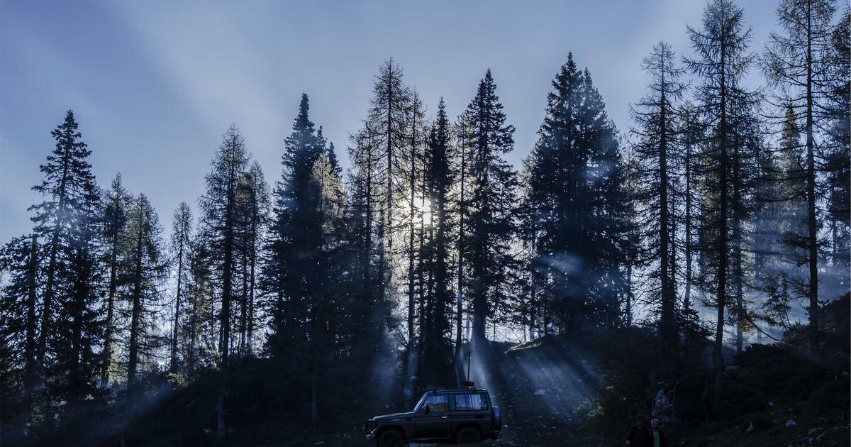 AI Tool Stacks: Custom Solutions for Every Business Size - AI Tools & Reviews