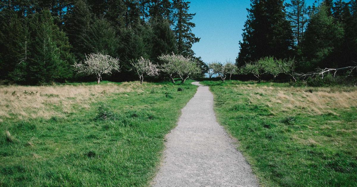 AI Toolkits: Building Your Perfect AI Workflow - AI Tools & Reviews