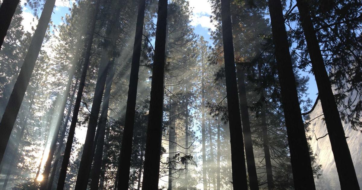 The Algorithmic Content Calendar: Automating Your 2026 Content Strategy - Digital Marketing & SEO