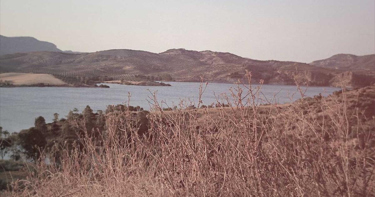 Async Communication Audit: Automate Team Efficiency - Remote Work & Productivity