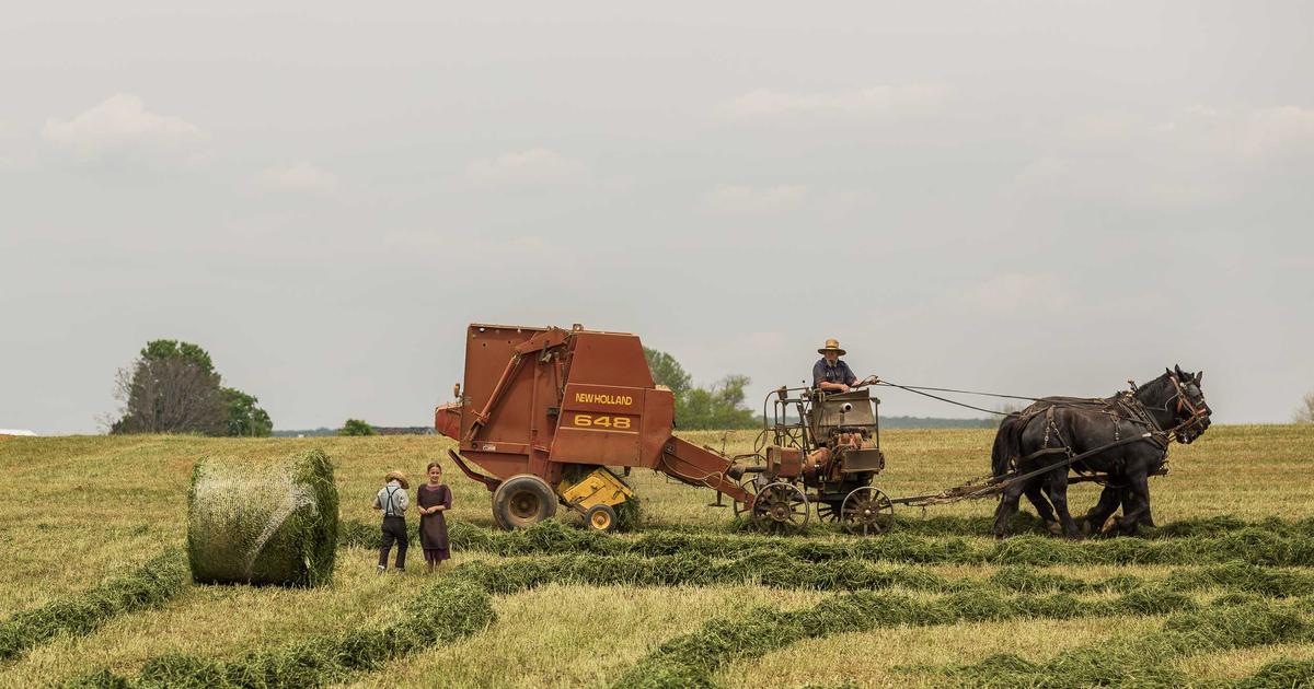 Unlock Data Silos: Automate API Integration with Python - Technology Tutorials