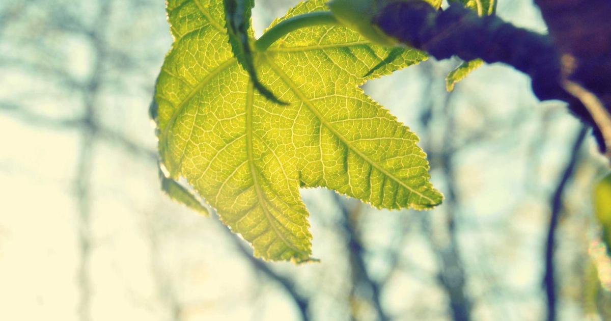 Automate Customer Onboarding: No-Code & API Integration - Technology Tutorials