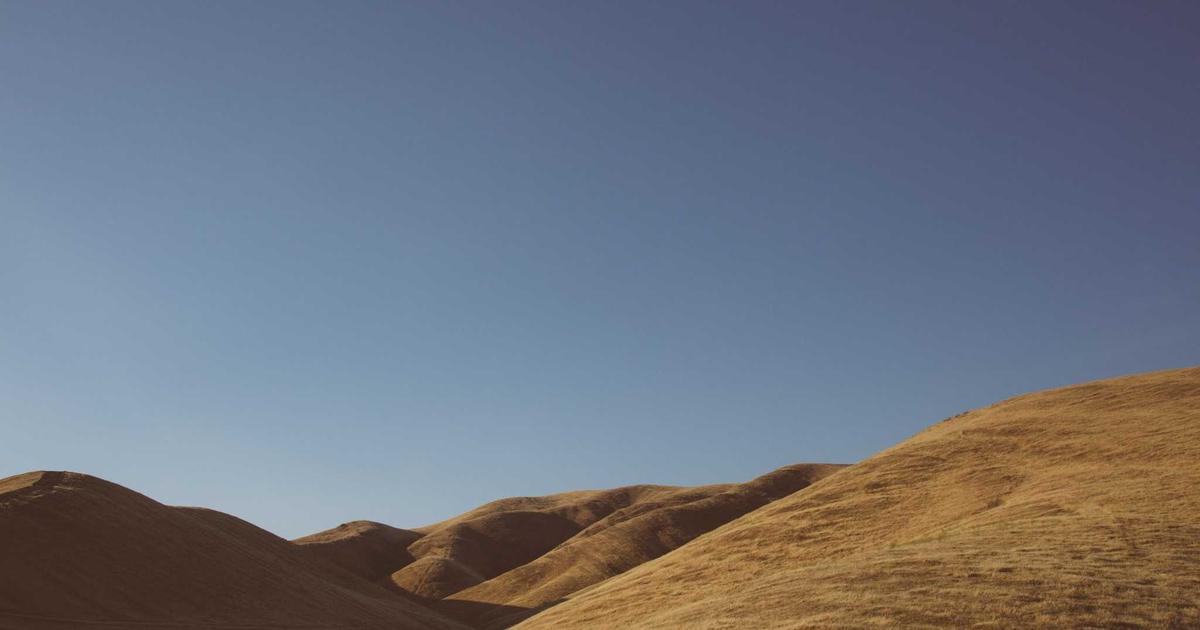 SaaS Stack Sanity: Automating Software Spend Visibility - SaaS & Software