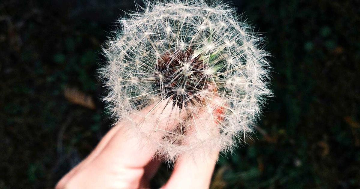 Automate Social Listening: Python for Sentiment Analysis - Technology Tutorials