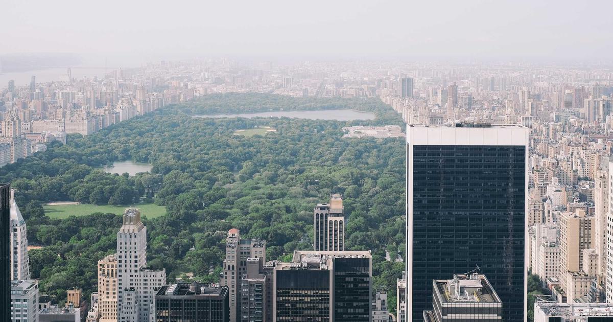 Automated API Monitoring: Python & No-Code Solutions - Technology Tutorials