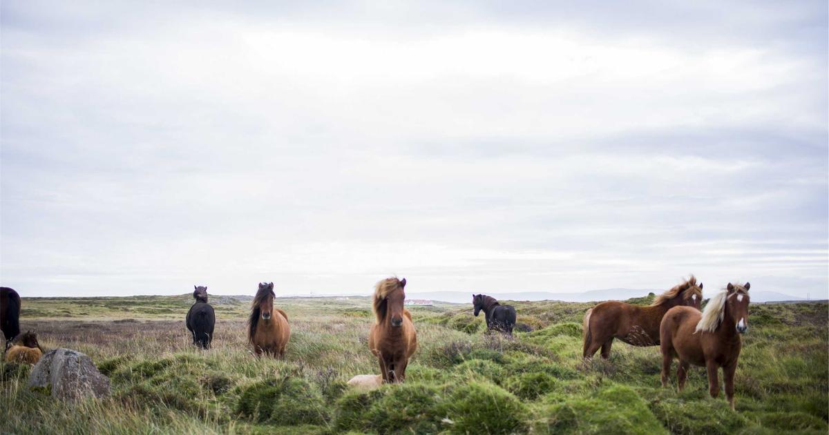 From Code to Cloud: Automated CI/CD Pipelines with Kubernetes - Cloud & DevOps