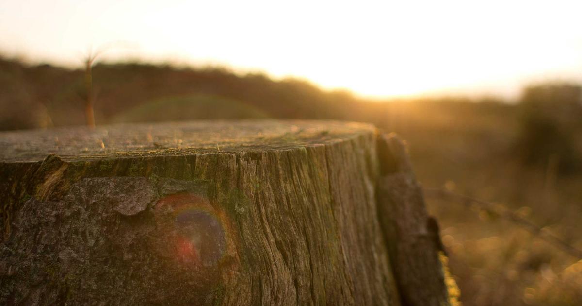 Automated Cloud Security: DevOps' Shift-Left Strategy - Cloud & DevOps
