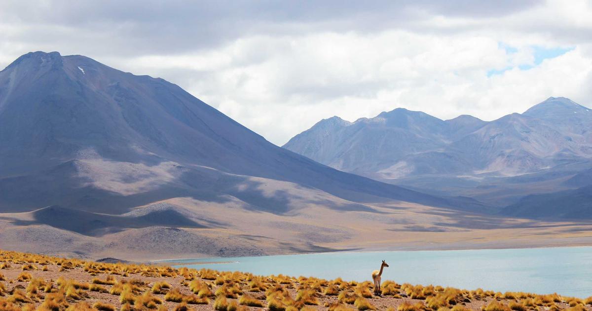 Automated Crypto Portfolio Rebalancing: AI Strategies - Finance & Fintech