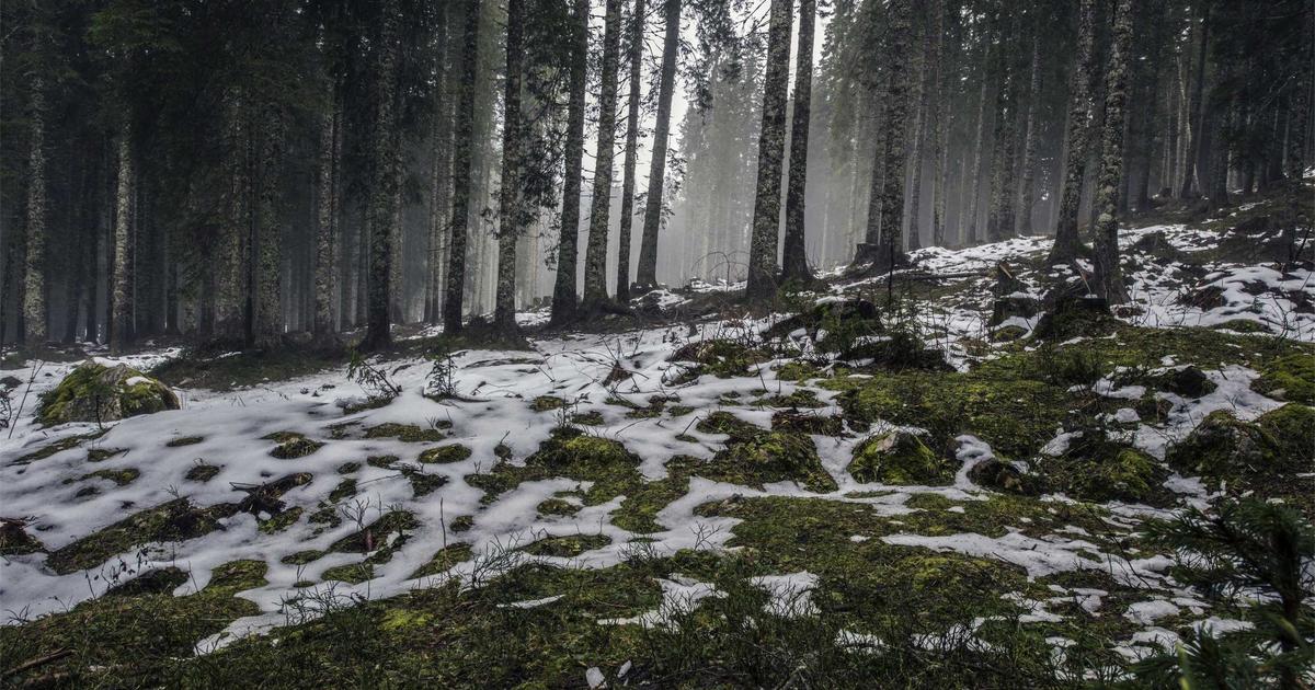 Automated Task Prioritization: AI for Remote Teams - Remote Work & Productivity