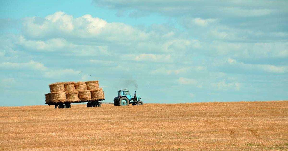 Automated Tax Loss Harvesting: Investment Platform Showdown - Finance & Fintech