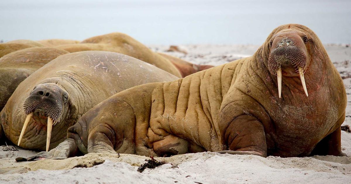 Top AI Writing Tools Reviewed - AI Tools & Reviews