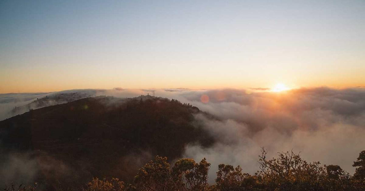 AI Writing Tool Showdown: Top Alternatives - AI Tools & Reviews