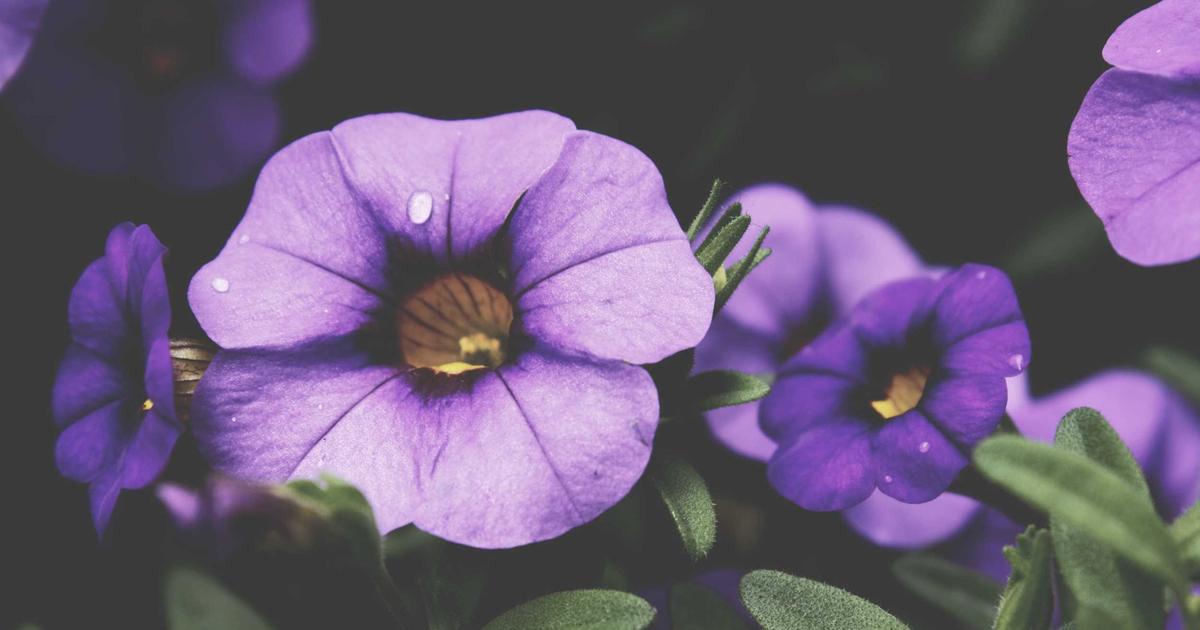 Top AI Writing Tools - AI Tools & Reviews