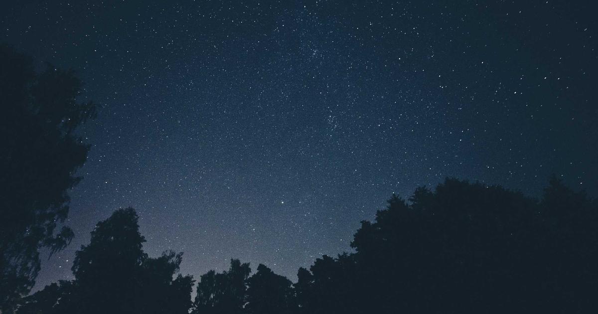 Streamlining Operations with Top SaaS Tools - SaaS & Software