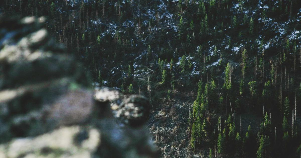 SaaS Toolbox: Boosting Productivity - SaaS & Software