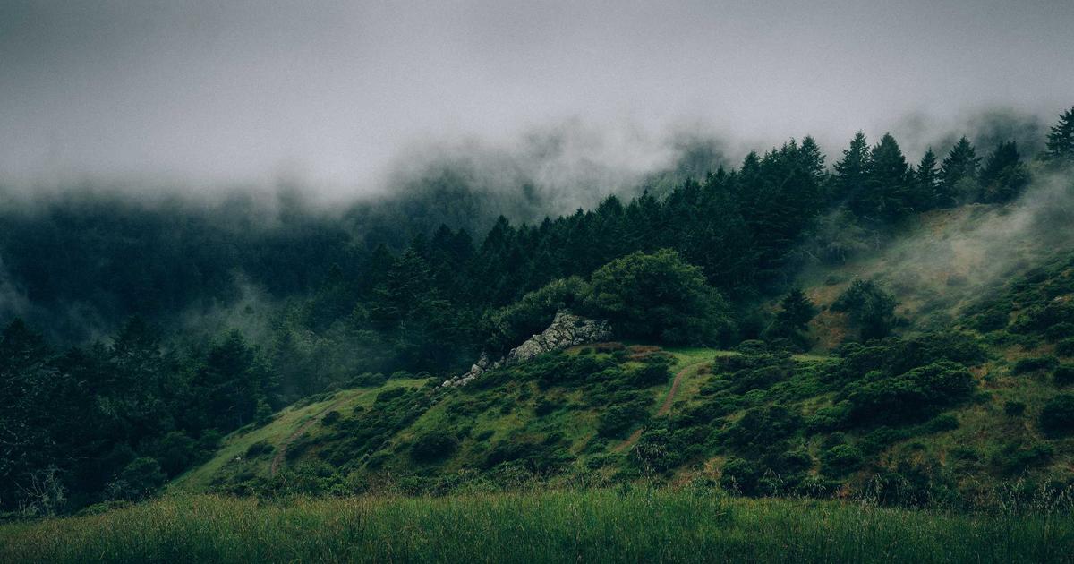 Cloud Hosting Showdown: DevOps Tools Comparison - Cloud & DevOps
