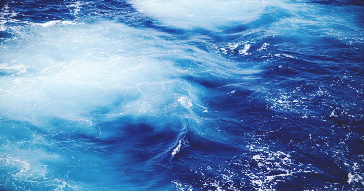 Content Amplification 2026: Automate Social & SEO - Digital Marketing & SEO