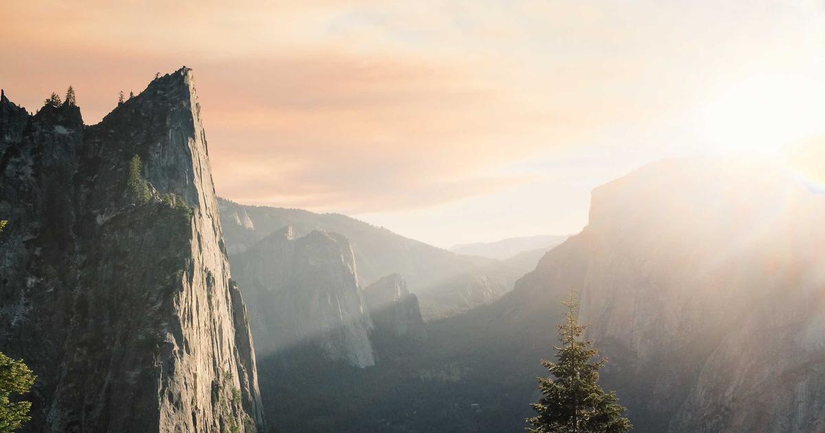 SaaS Stack Showdown: CRM vs. Project Management Integration - SaaS & Software