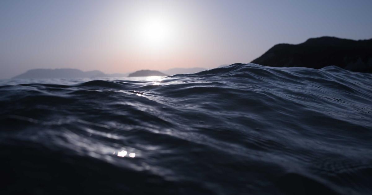Cybersecurity for Small Businesses: Essential Tips - Cybersecurity