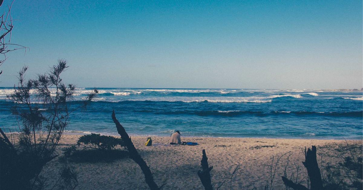 Cybersecurity Insurance: Is It Right For Your Business? - Cybersecurity