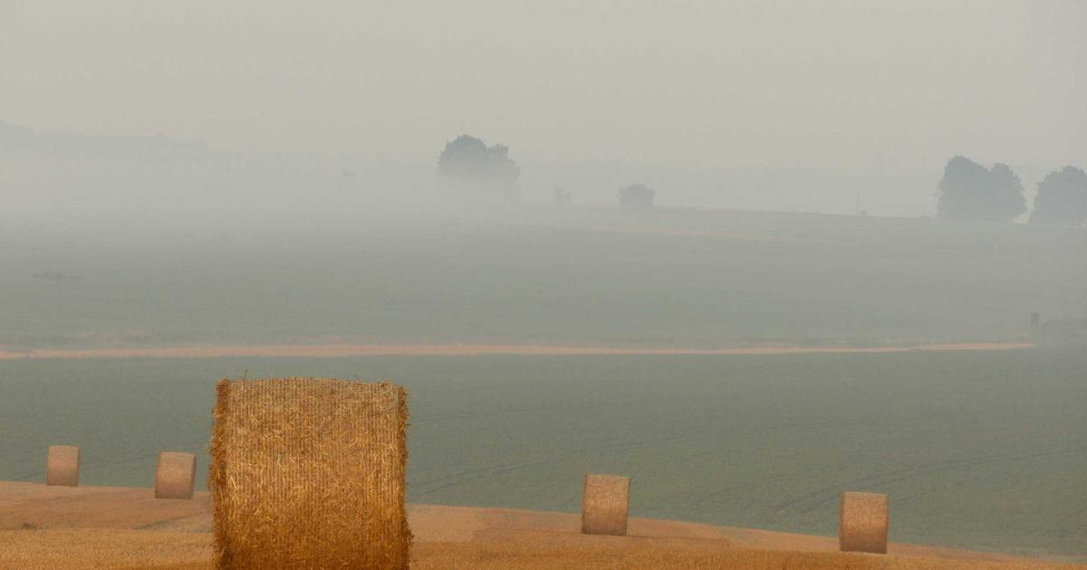 Expert Cybersecurity Tips for Remote Workers - Cybersecurity