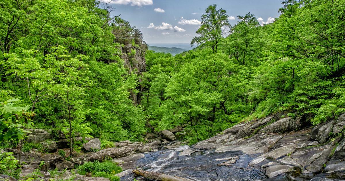 Container Orchestration Wars: Docker Swarm vs. Kubernetes - Cloud & DevOps