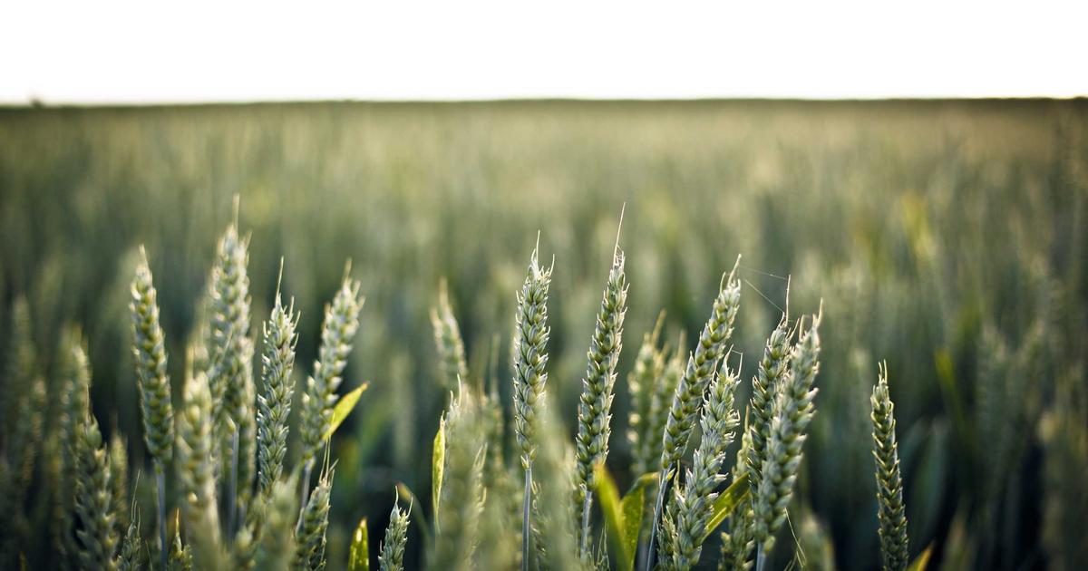 Beyond the Hype: Ethical AI Tool Reviews for 2026 - AI Tools & Reviews