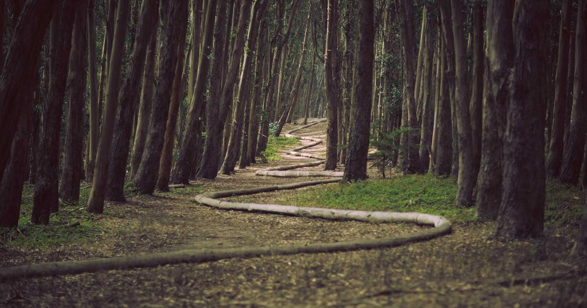 GenAI for Finance: Automate Regulatory Compliance - Finance & Fintech