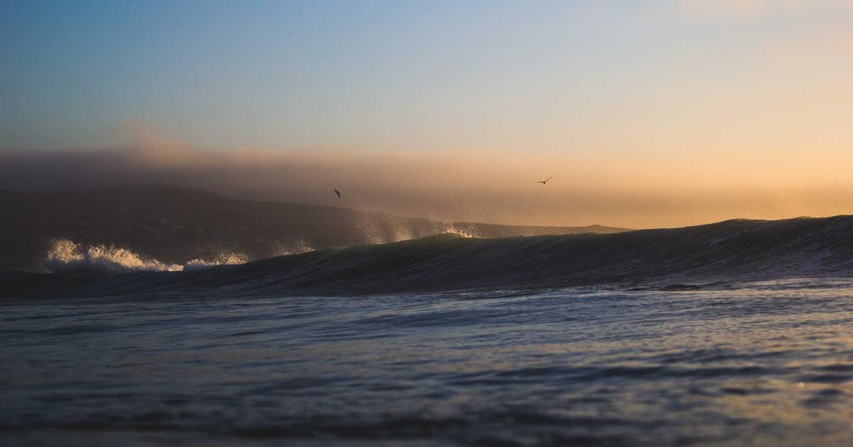 Predictive SEO: Automate Content Gaps for 2026 Domination - Digital Marketing & SEO