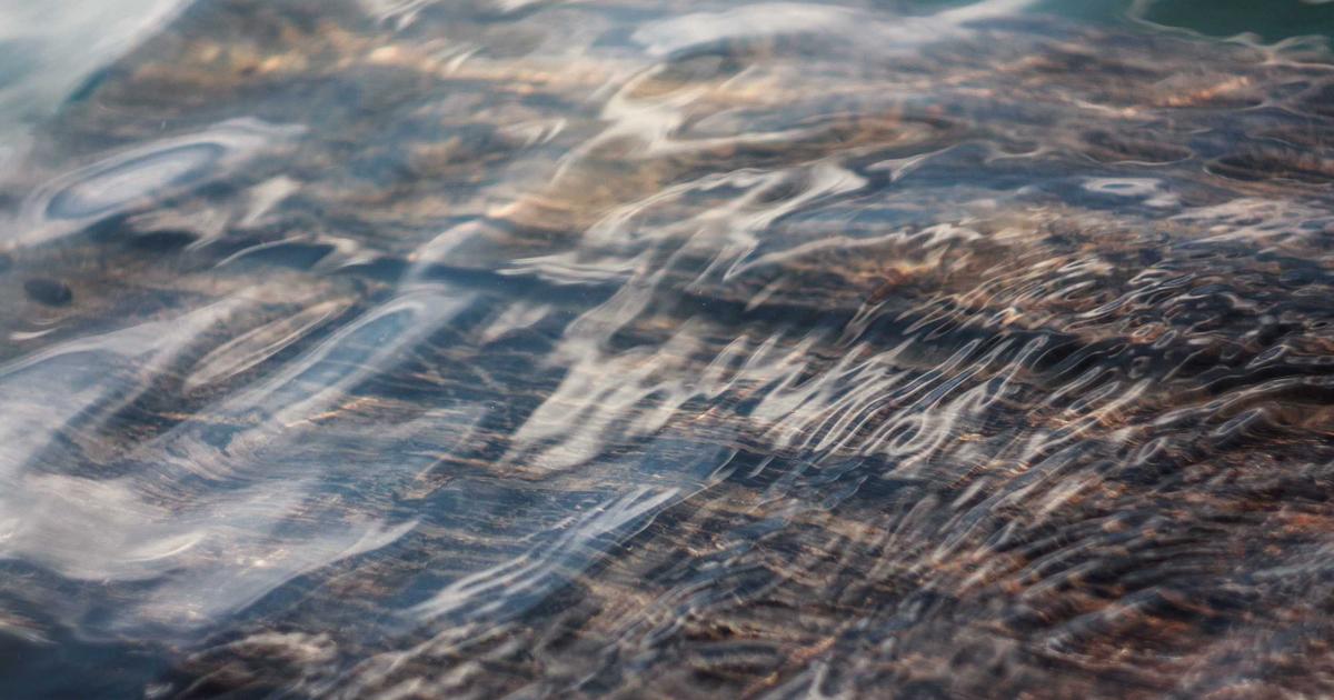 Boosting Remote Team Harmony with AI - Remote Work & Productivity