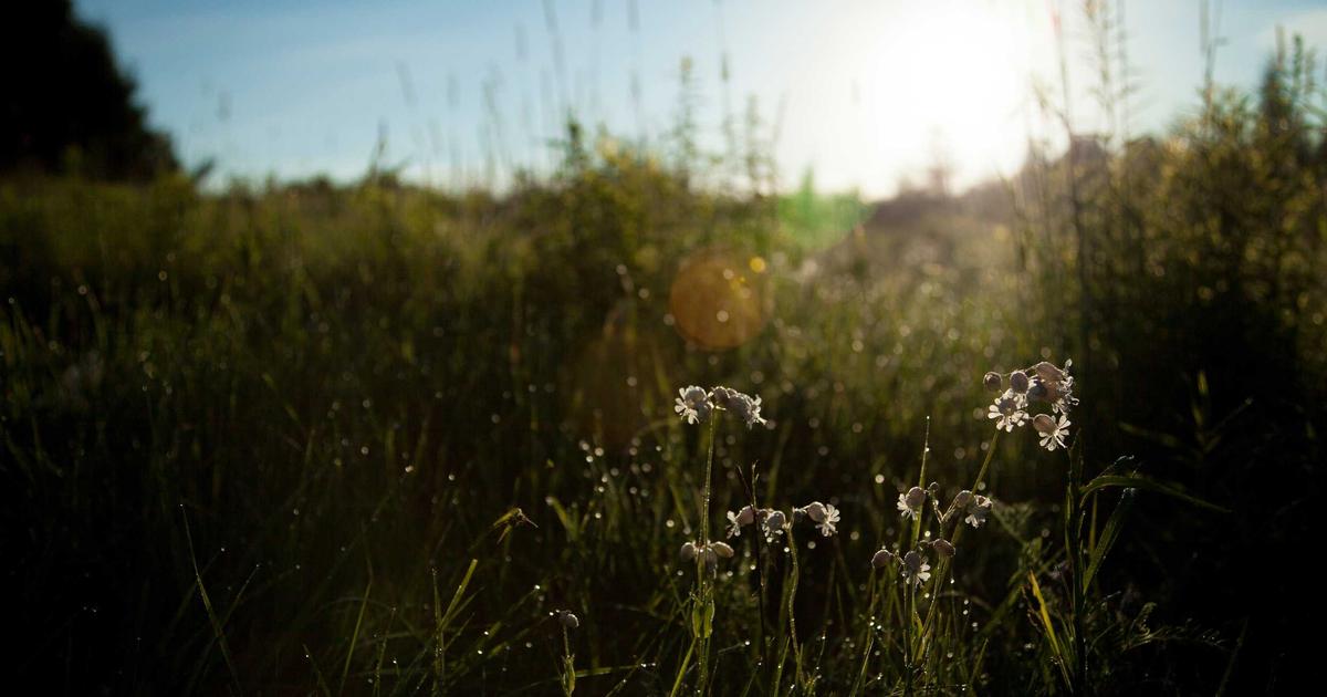 Boosting Remote Team Efficiency - Remote Work & Productivity