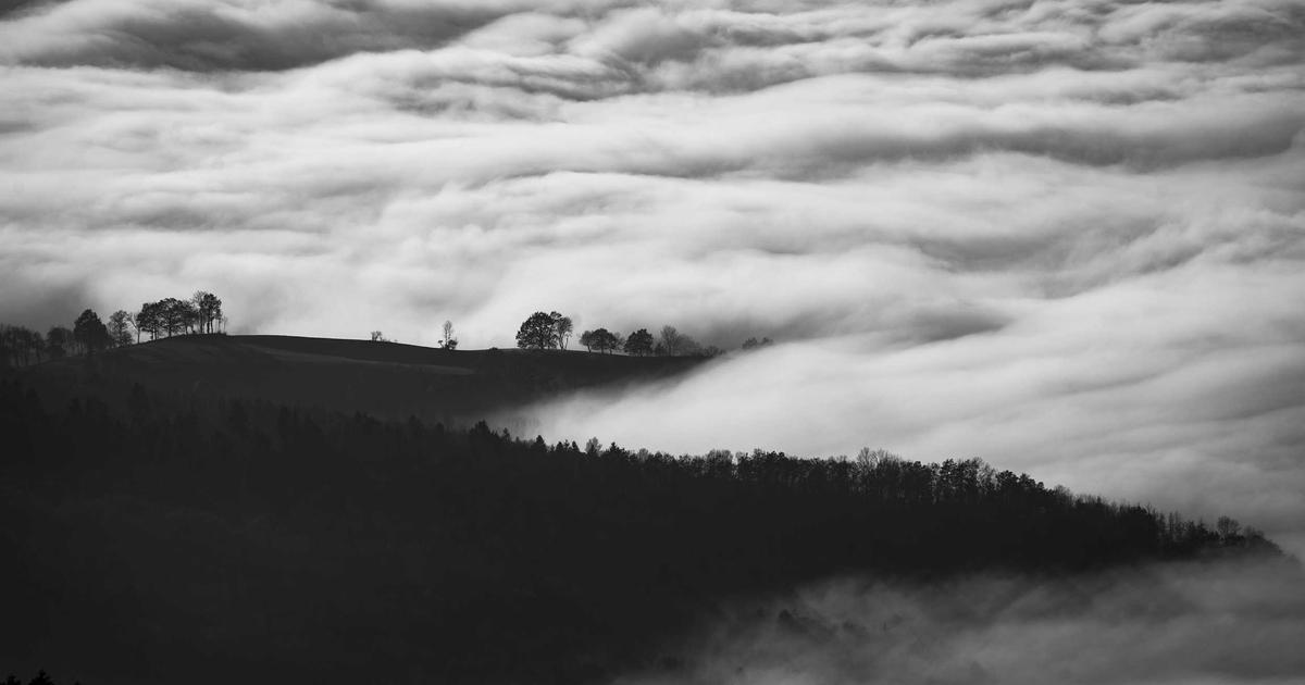 SaaS Data Migration: Smoothly Switch Tools in 2026 - SaaS & Software