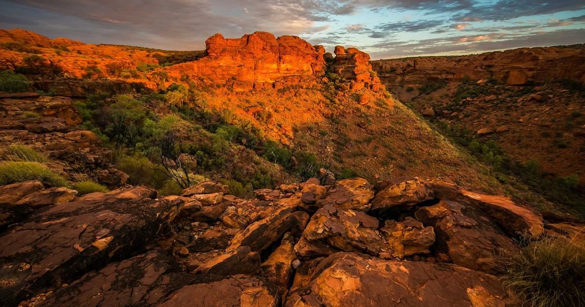 SaaS Data Migration: A Painless Guide for 2026 - SaaS & Software