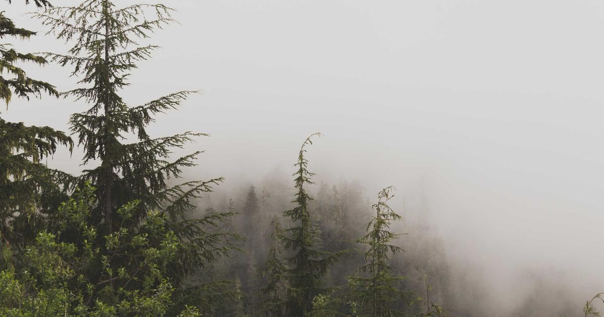 SaaS for Scaling Startups: Avoiding Common Pitfalls - SaaS & Software