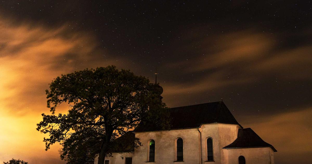 SaaS Security Automation: Stop Breaches Before They Start - SaaS & Software