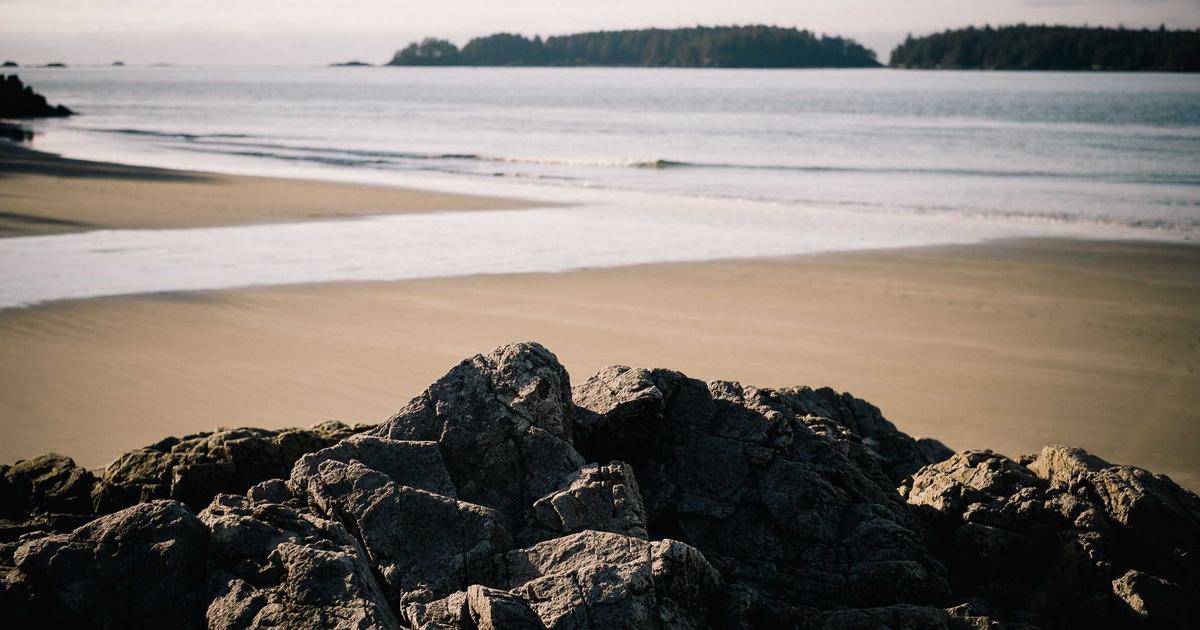 SaaS Toolchain Automation: The Glue That Binds Your Apps - SaaS & Software