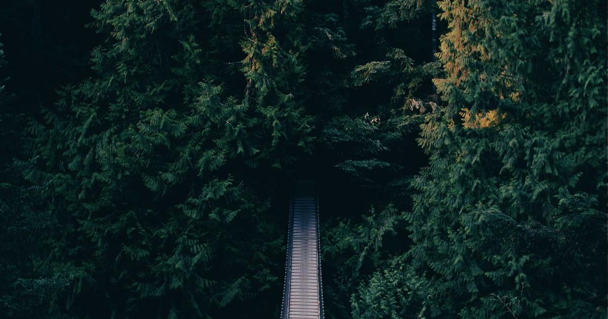 Synergizing SEO with Automation - Digital Marketing & SEO