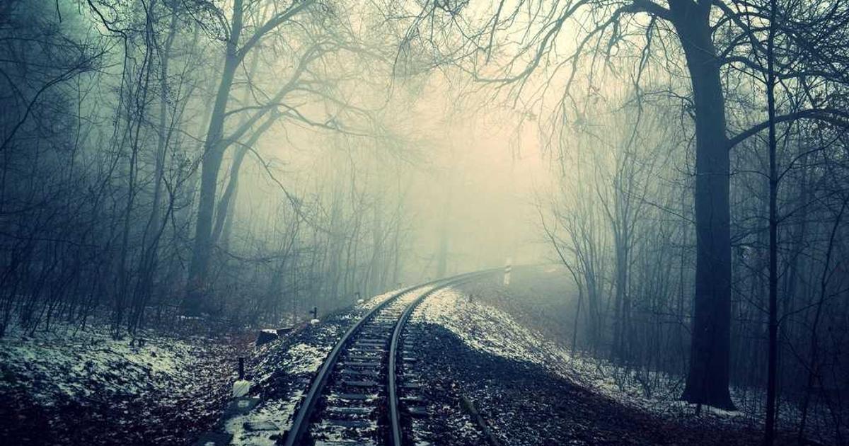 SEO & Social Synergy: Automate for Maximum Impact (2026) - Digital Marketing & SEO