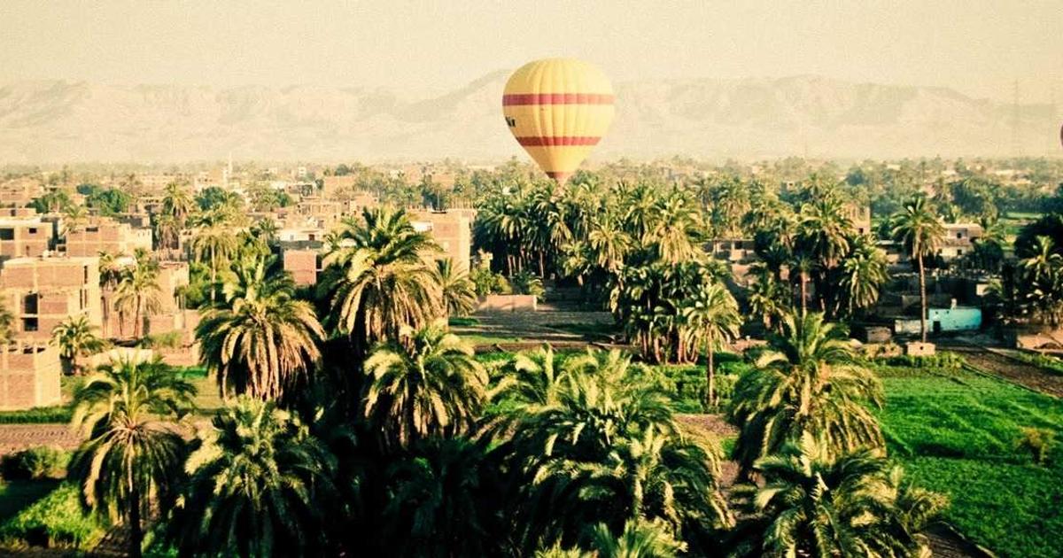 Maximize Online Visibility with SEO Tips 2026 - Digital Marketing & SEO