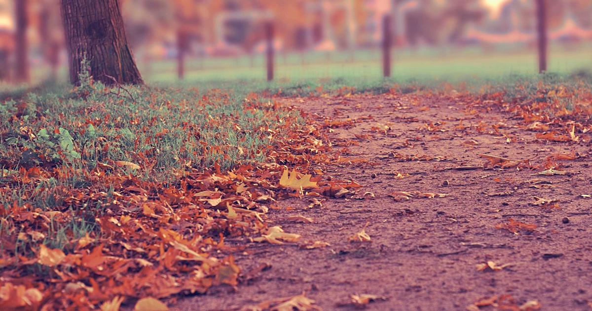 Maximize Online Visibility with SEO Tips 2026 - Digital Marketing & SEO