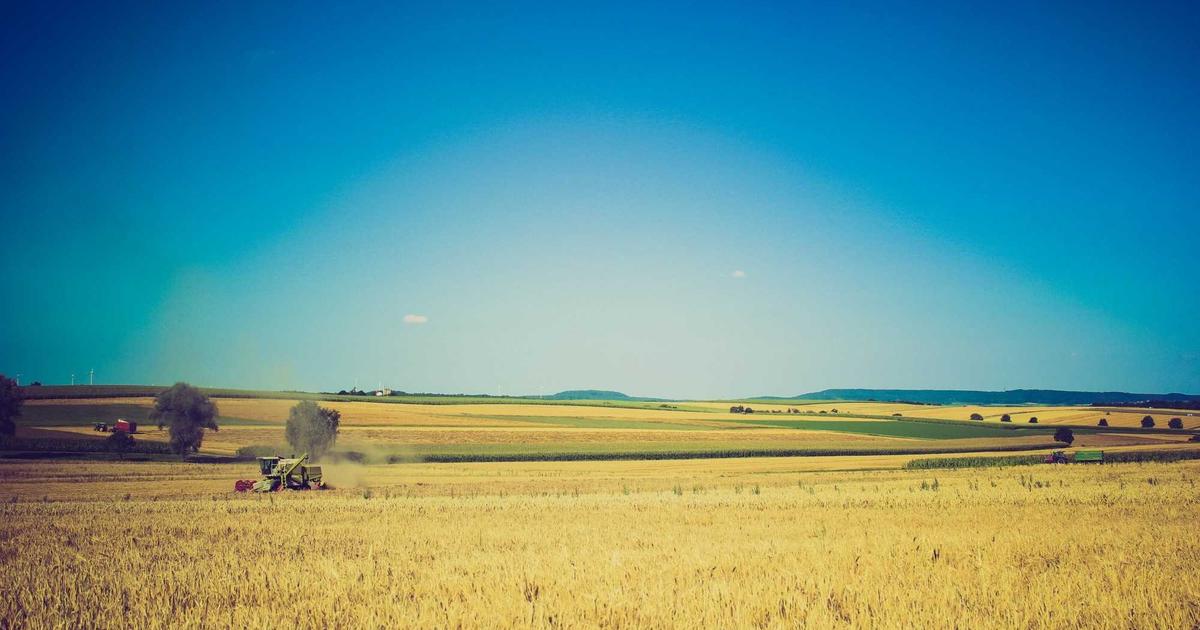 Cybersecurity For Small Business Owners - Cybersecurity