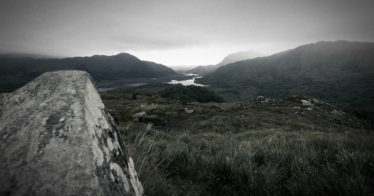 Workflow Automation with Python and APIs - Technology Tutorials